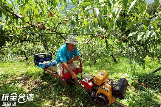 Da Kuan Peach Farm Resort Hualing Esterno foto